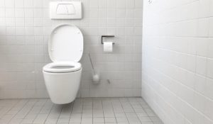 toilet repair in Toronto